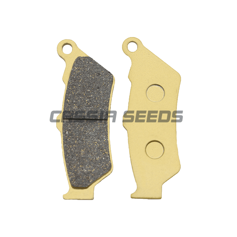 MOTORCYCLE FRONT AND REAR BRAK - Carbon Ceramic Motorcycle Brake Rotor ulasan dan harga