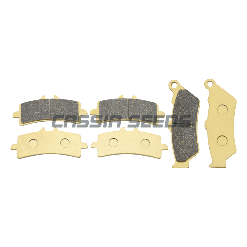MOTORCYCLE FRONT AND REAR BRAK - Carbon Ceramic Motorcycle Brake Rotor ulasan dan harga